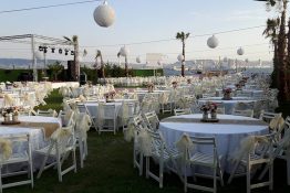 14265008_331240740546138_6059936656634384422_n