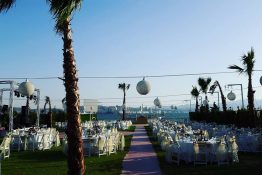 14359030_335029063500639_5795341128775026907_n